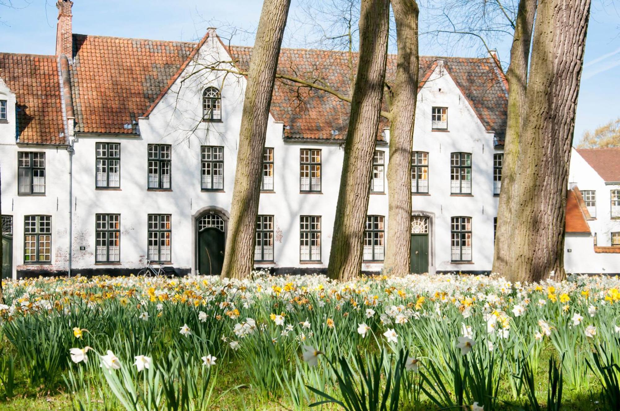 Gillis Eight By Romy&Travis Otel Brugge Dış mekan fotoğraf